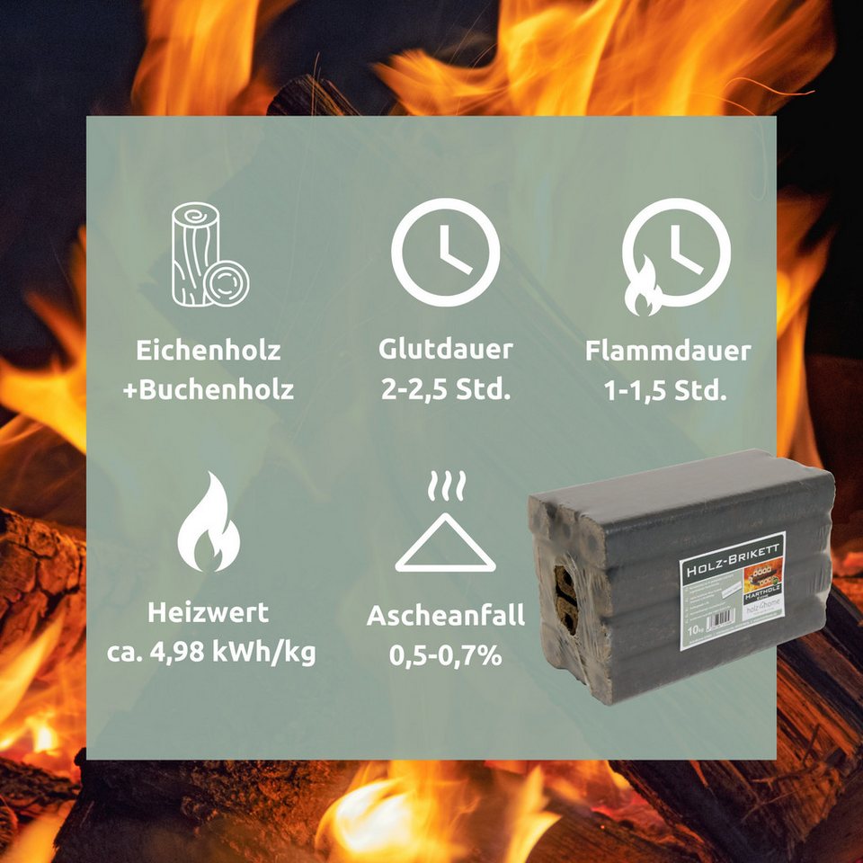 holz4home® Holzbriketts Pini Kay Eichenbriketts I 100% ohne Zusätze I Briketts Kamin Brennholz, 10 kg, Mit Zugloch gepresst - kuhlmann.hausgeraete